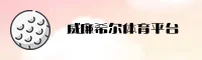 使用指南与常见问题